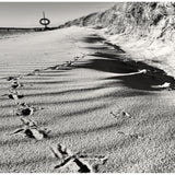 FOOTPRINTS