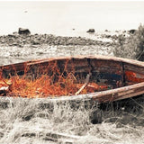 IN THE MIDDLE OF NOWHERE