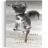 Life is too short taking everything seriously!